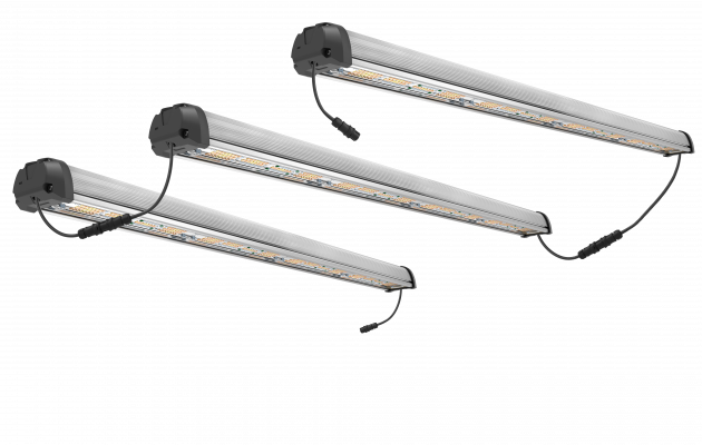 Serie BL120 Valoya-Virex