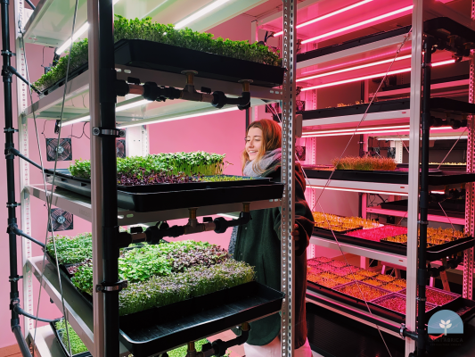 NS12 & AP673L Valoya - Virex